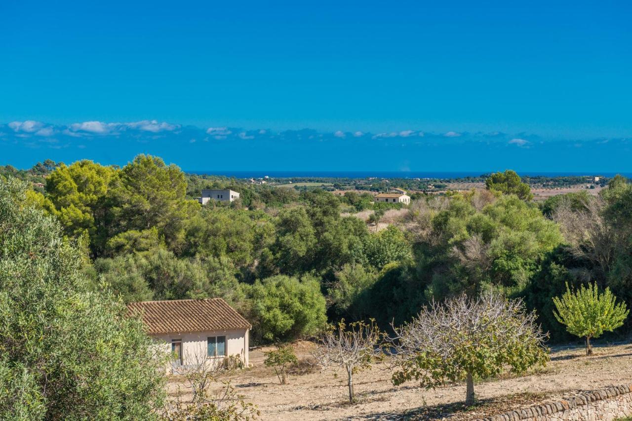 Finca Son Colom Manacor  Exterior foto